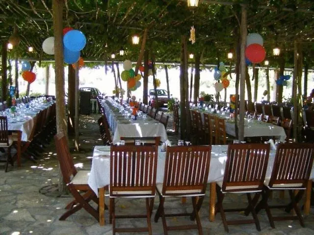 λίντζι 2* Αρκούδι