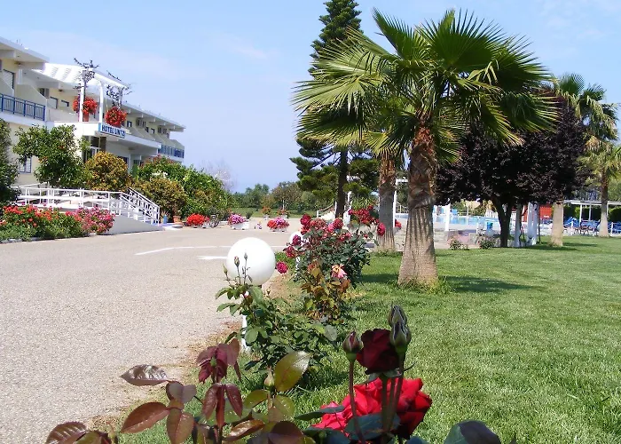 λίντζι 2* Αρκούδι