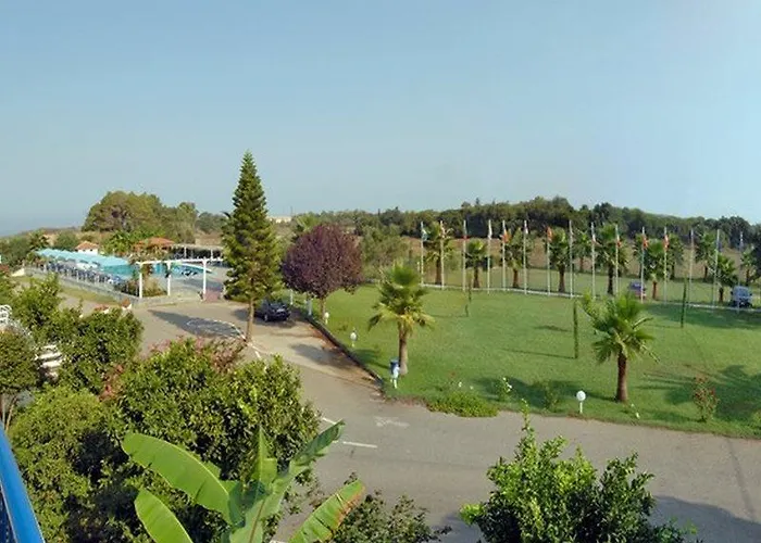 λίντζι Αρκούδι